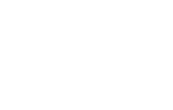 SecureNet WV